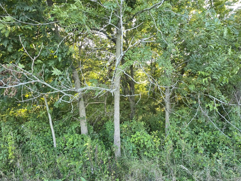 Listing photo 28